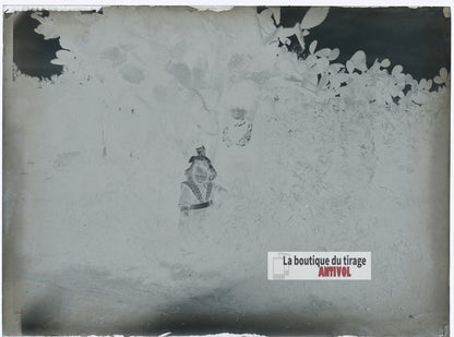 Femme et jeune enfant, figuier, plaque verre photo ancienne, négatif 9x12 cm