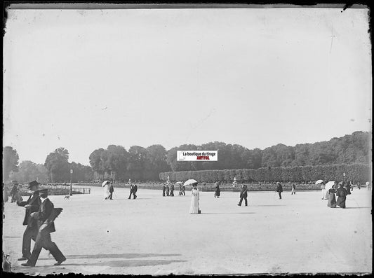 Jardin, parc de Versailles, Plaque verre photo, négatif noir & blanc 9x12 cm