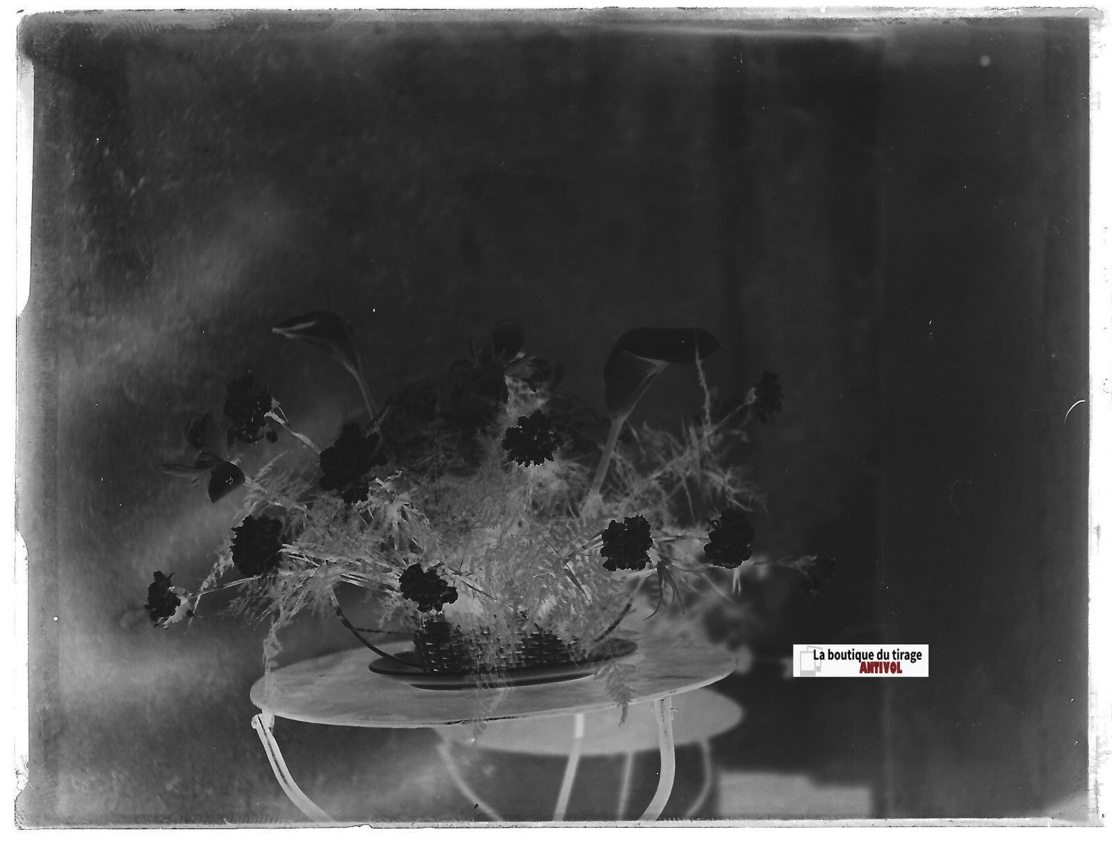 Bouquet fleurs, Plaque verre photo ancienne, négatif noir & blanc 9x12 cm
