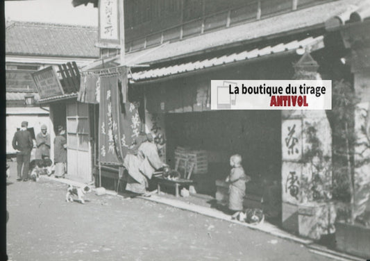 Yokohama, Asie, Japon, photo plaque verre, noir & blanc, positif 8,5x10 cm