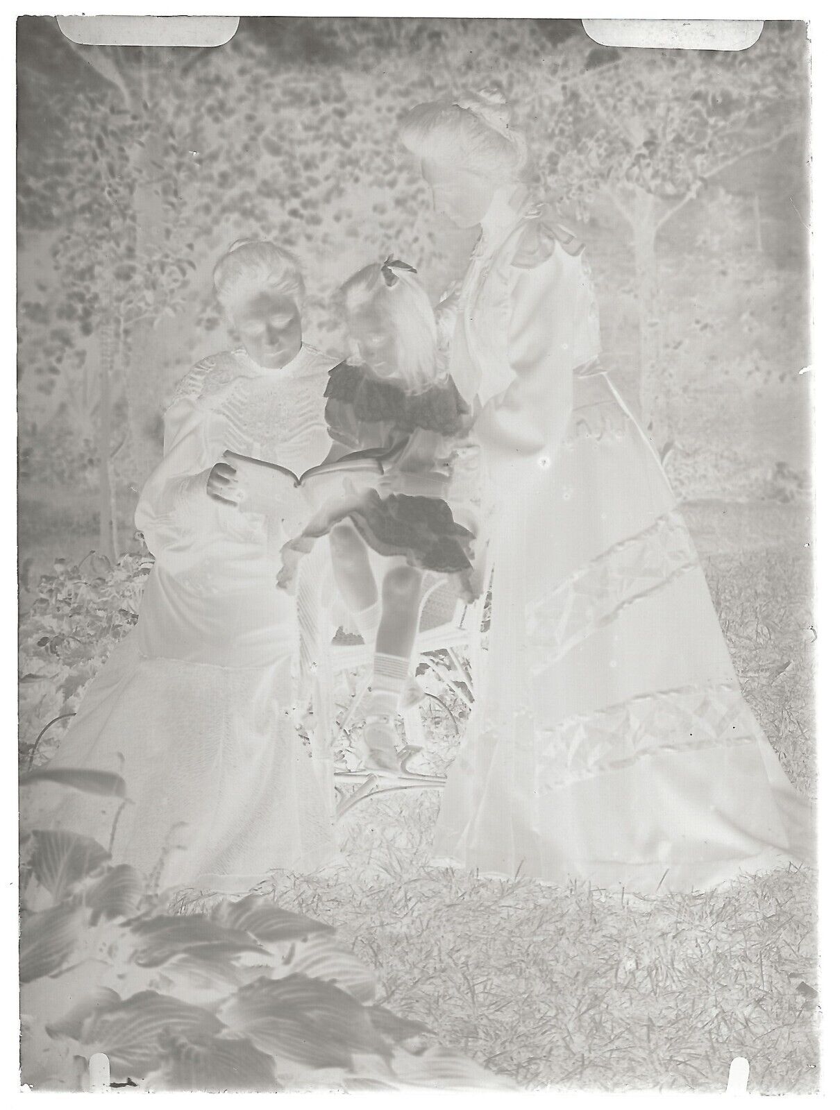 Belgique, famille, enfants, photo plaque verre, lot de 19 négatifs 9x12 cm