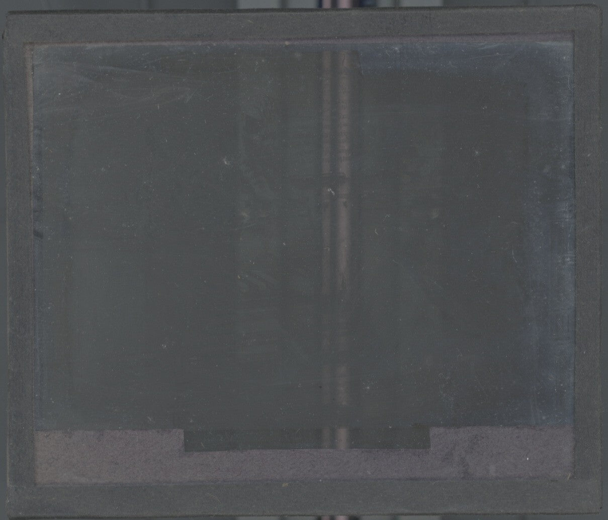 Symphonie de chats, Reichert, peinture, photo plaque verre, positif 8,5x10 cm