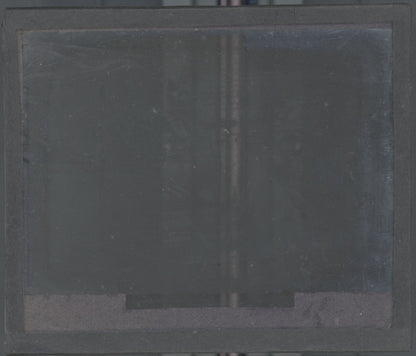 Symphonie de chats, Reichert, peinture, photo plaque verre, positif 8,5x10 cm