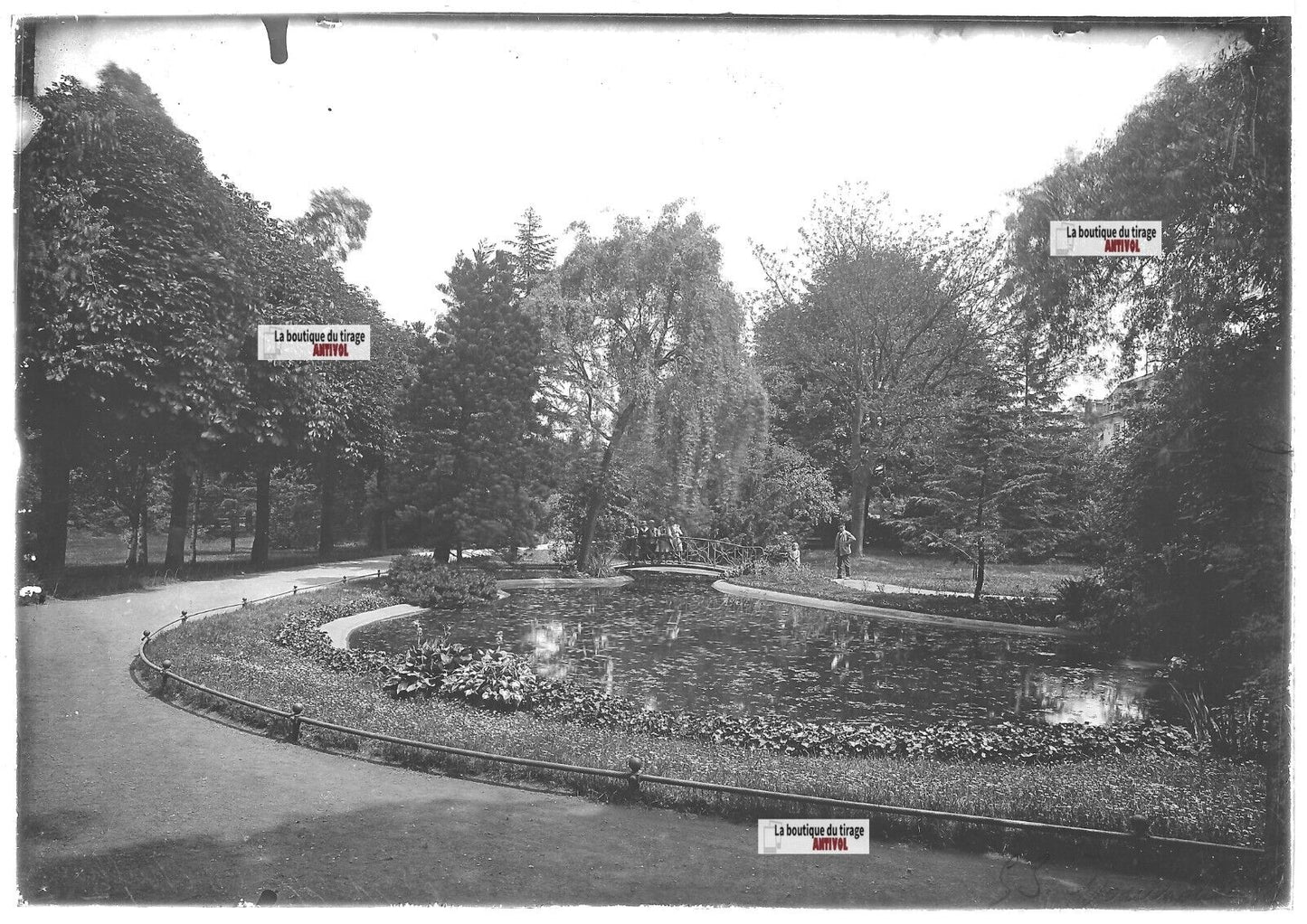 Plaque verre photo ancienne positif noir et blanc 13x18 cm Mulhouse jardin parc