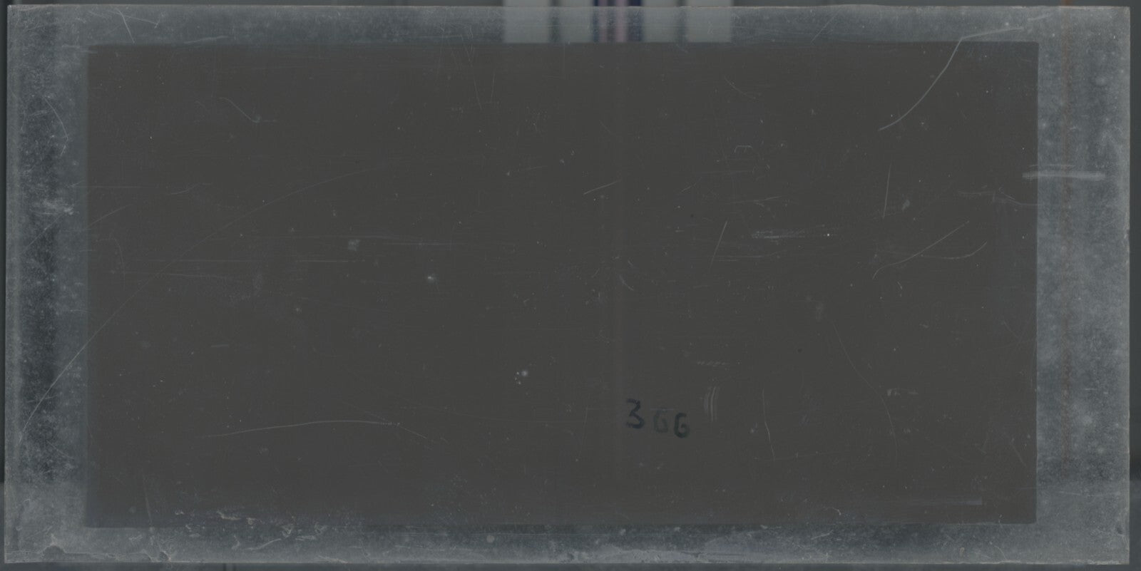 Hippodrome de Longchamp, Paris, plaque verre stéréoscopique, positif 8,5x17 cm