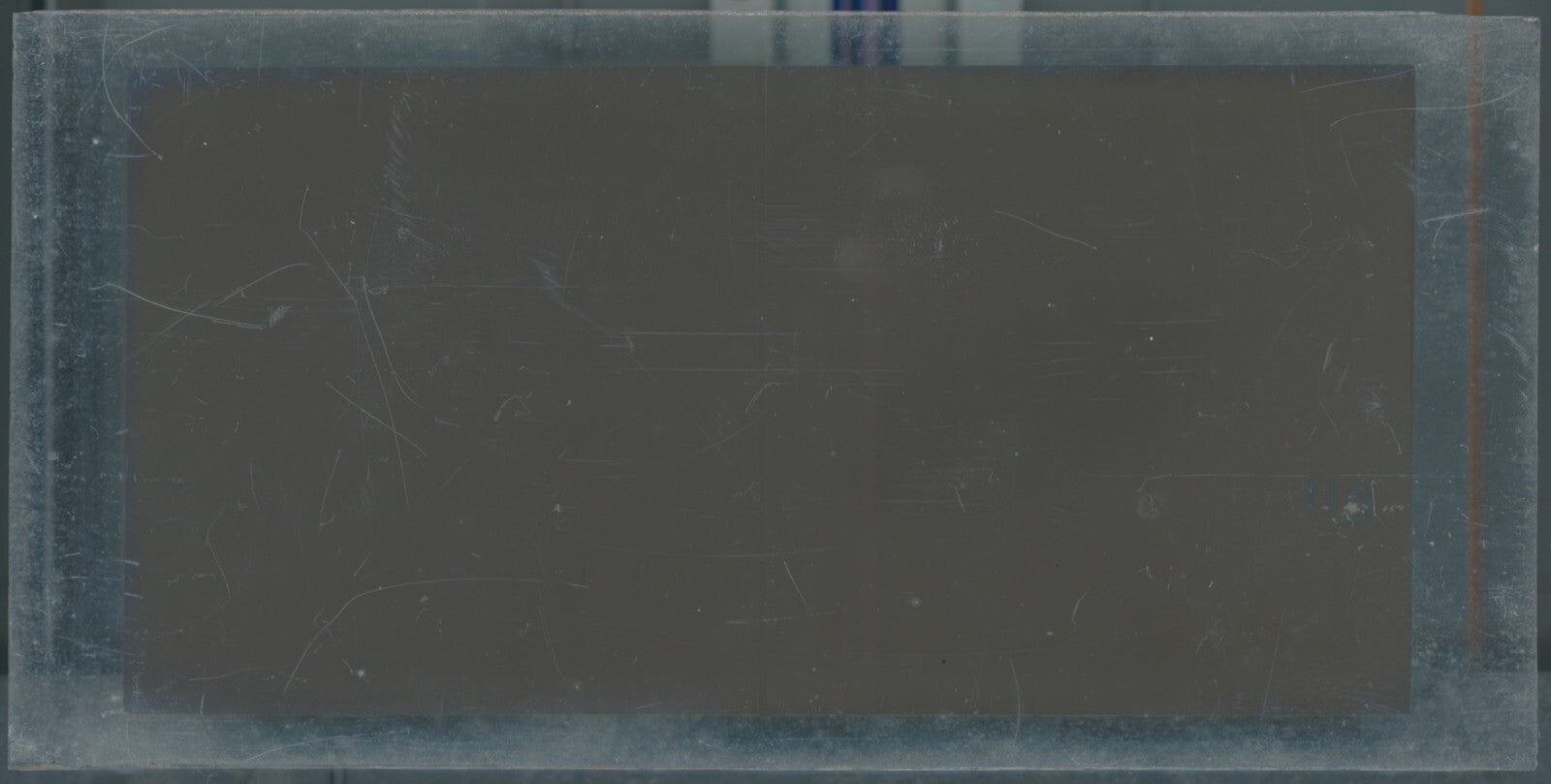 Hippodrome de Longchamp, Paris, stéréoscopie plaque verre, positif 8,5x17 cm