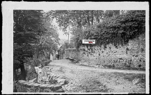 Plaque verre photo vintage négatif noir & blanc 9x14 cm Oloron-Sainte-Marie