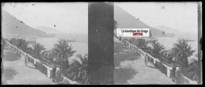 Promenade Létang, Oran, Plaque verre stéréo, négatif noir & blanc 4,5x10,7 cm