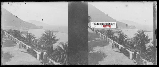 Promenade Létang, Oran, Plaque verre stéréo, négatif noir & blanc 4,5x10,7 cm