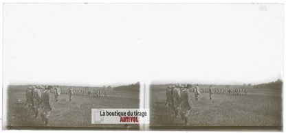 Manœuvres d’infanterie, campagne WW1, plaque verre photo ancienne stéréo 6x13 cm