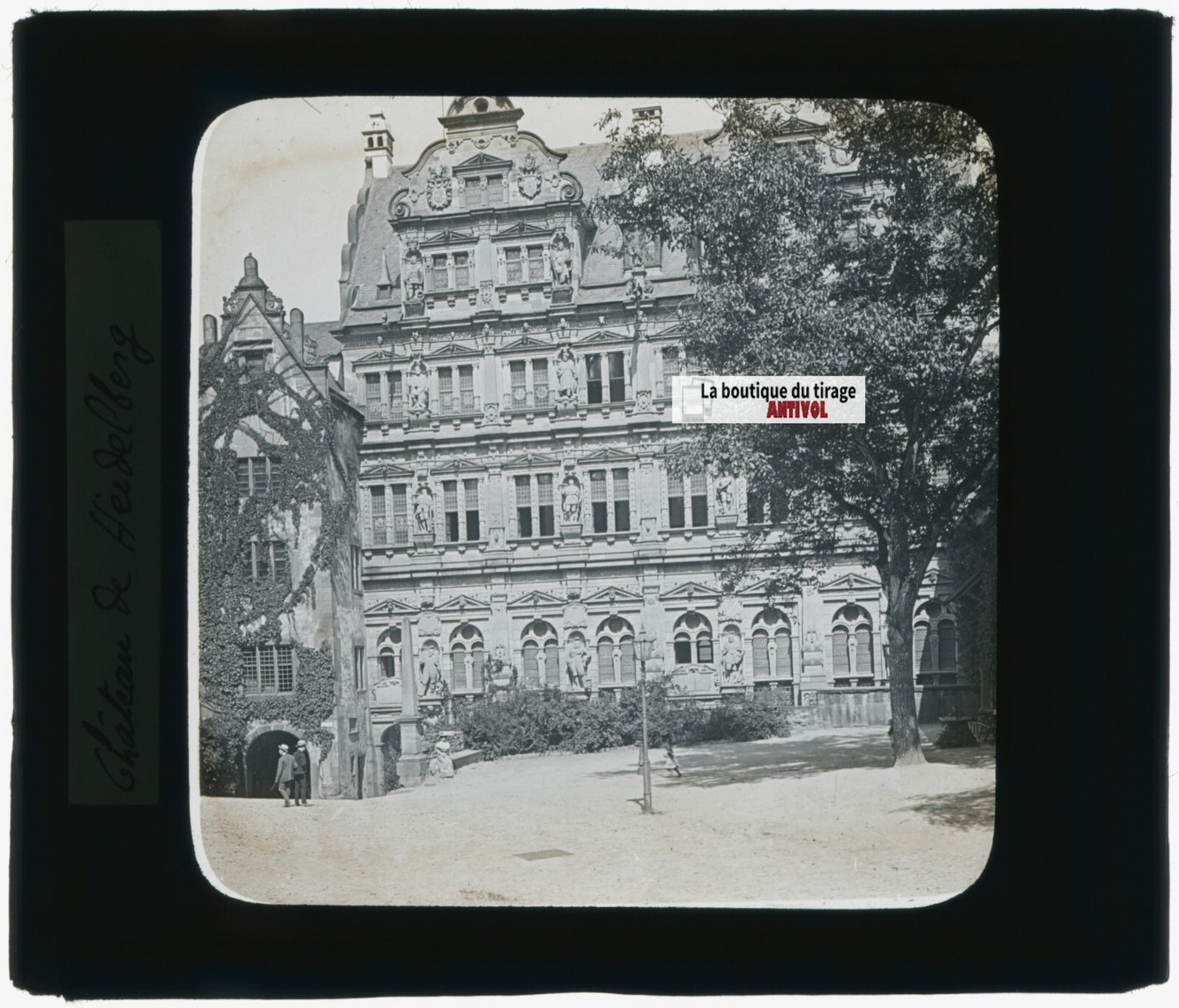 Heidelberg, Allemagne, photo plaque verre, noir & blanc, positif 8,5x10 cm