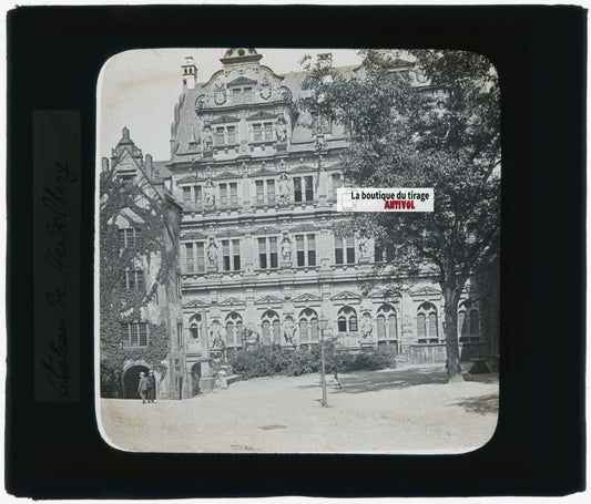 Heidelberg, Allemagne, photo plaque verre, noir & blanc, positif 8,5x10 cm