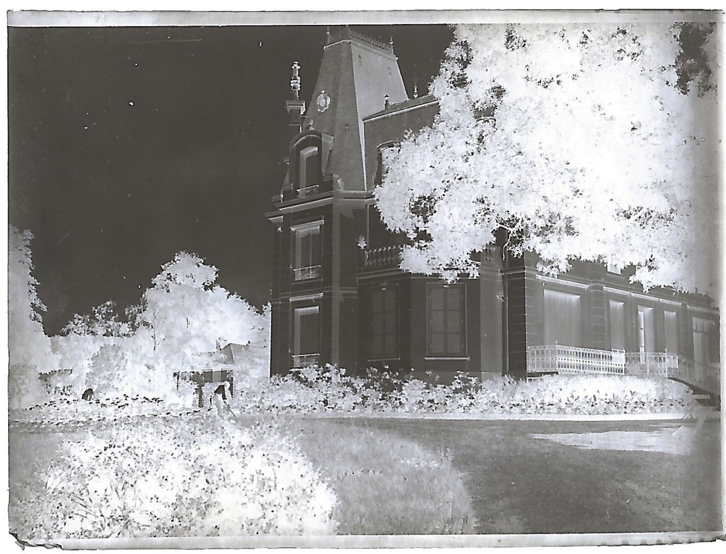 Bailly, Renard, chevaux, photos plaque de verre, lot de 10 négatifs 4x6 cm