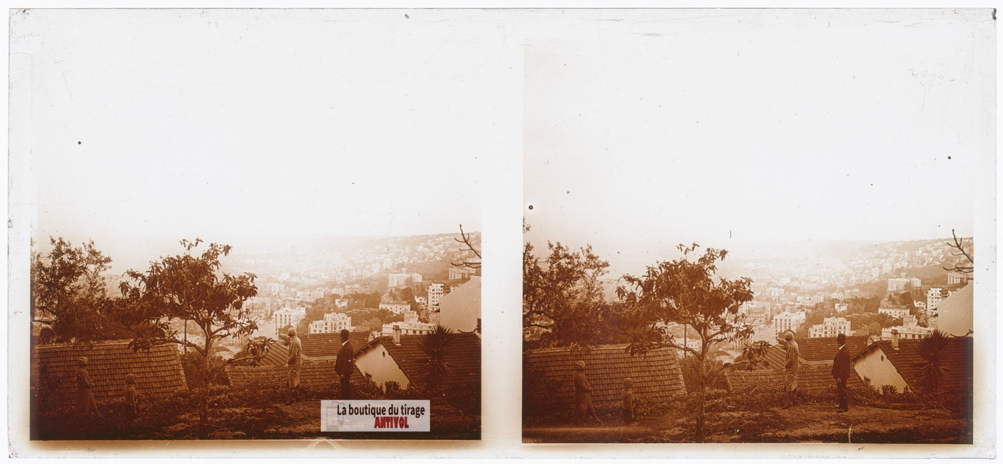 Sur les hauteurs d'Alger, Algérie, plaque verre photo ancienne stéréo 6x13 cm