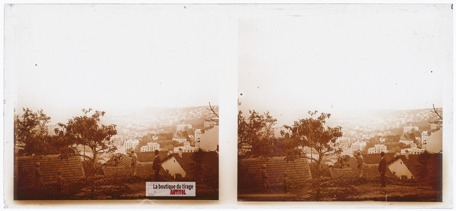 Sur les hauteurs d'Alger, Algérie, plaque verre photo ancienne stéréo 6x13 cm