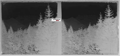 Morgins, Dents du Midi, Plaque verre photo stéréo, négatif noir & blanc 6x13 cm