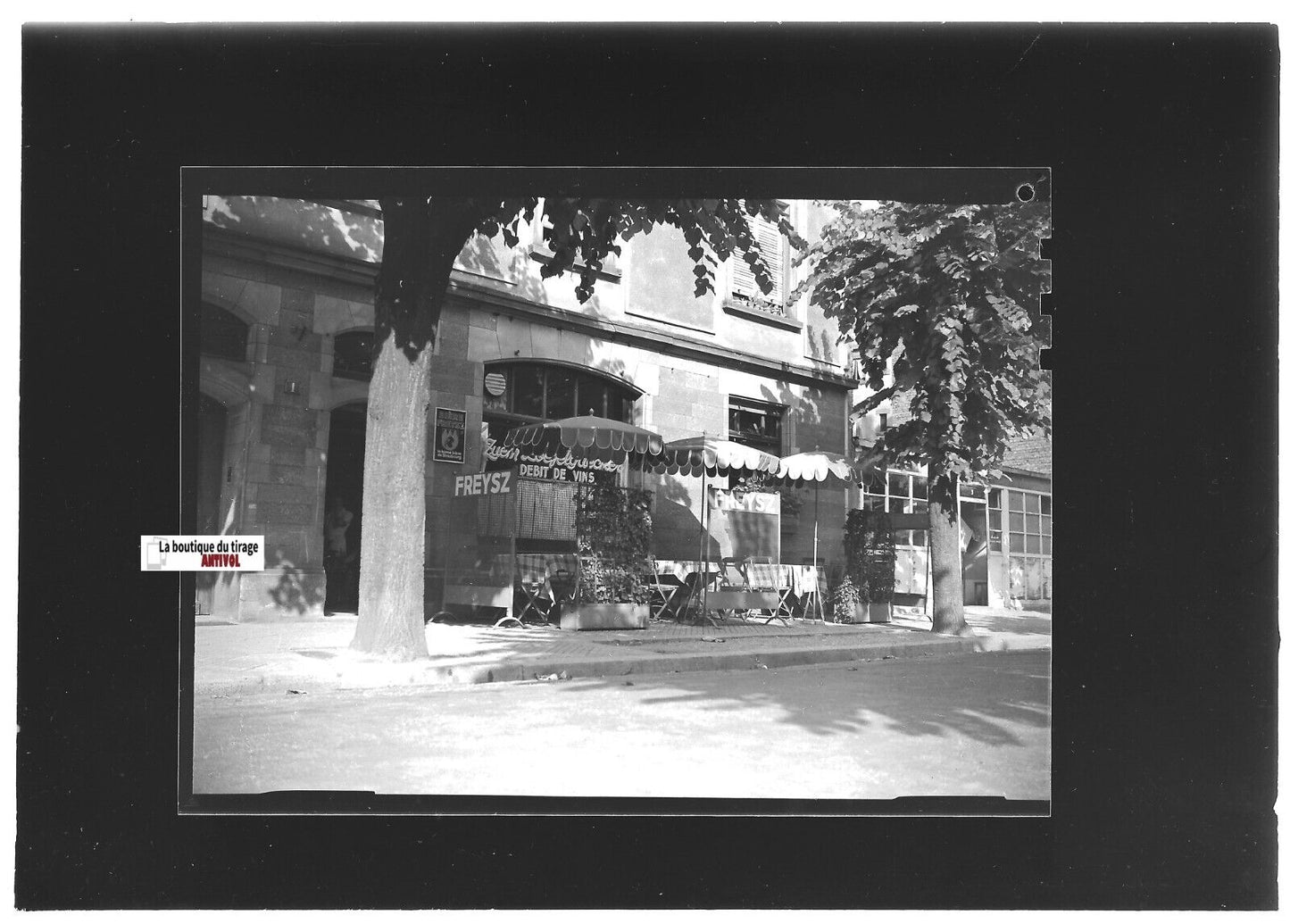 Plaque verre photo ancienne positif noir et blanc 13x18 cm Strasbourg Zuem