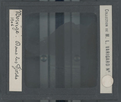 Norvège, 1906, fjord, photo plaque de verre, noir & blanc, positif 8,5x10 cm