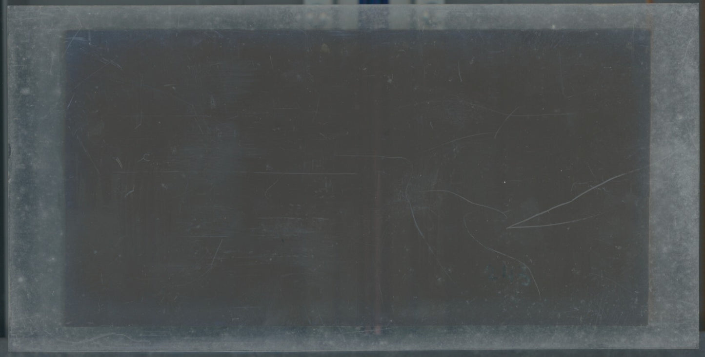 Personnages, Longchamp, Paris, plaque verre stéréoscopique, positif 8,5x17 cm