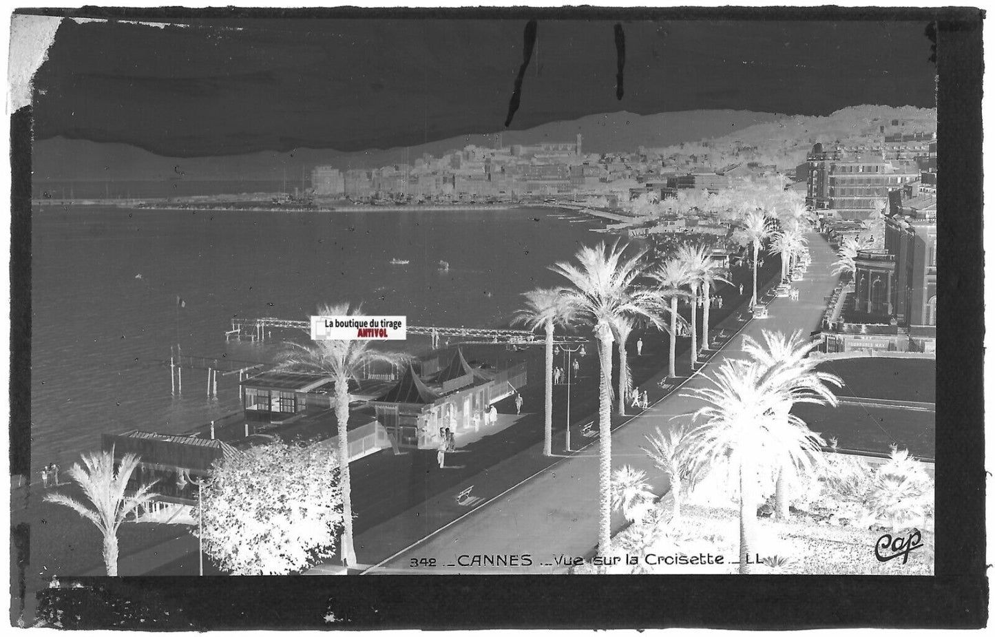 Plaque verre photo ancienne, négatif noir & blanc 9x14 cm, Cannes, La Croisette