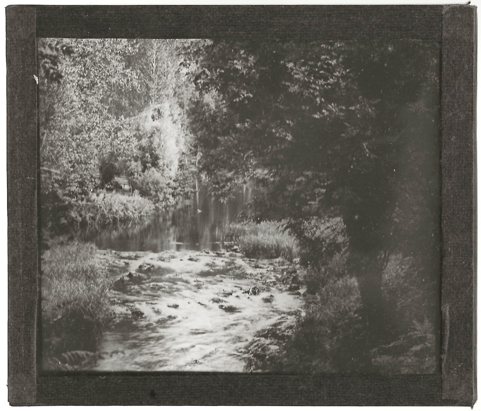 Paysage, nature, rivière, photo ancienne plaque de verre, positif 8,5x10 cm