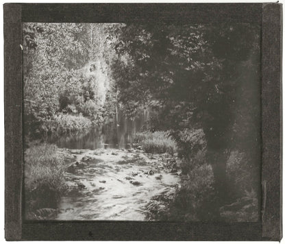 Paysage, nature, rivière, photo ancienne plaque de verre, positif 8,5x10 cm