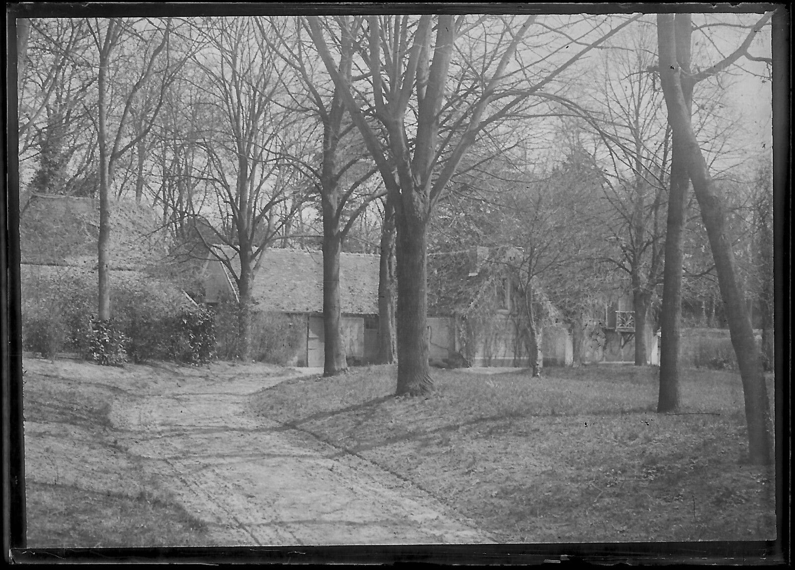 Plaque verre photo ancienne négatif noir et blanc 6x9 cm château parc arbres