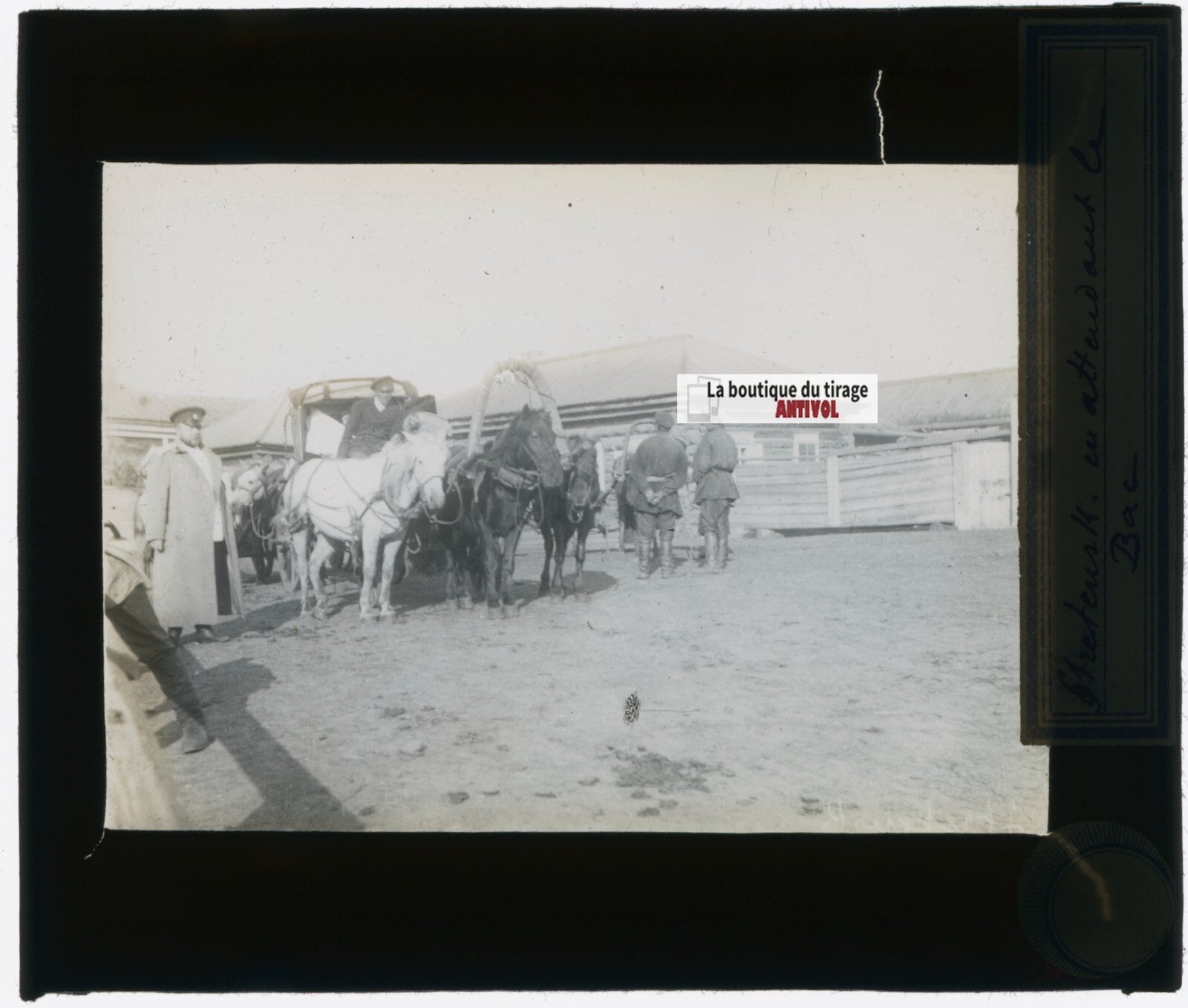 Sretensk, Russie, chevaux, photo plaque verre, noir & blanc, positif 8,5x10 cm