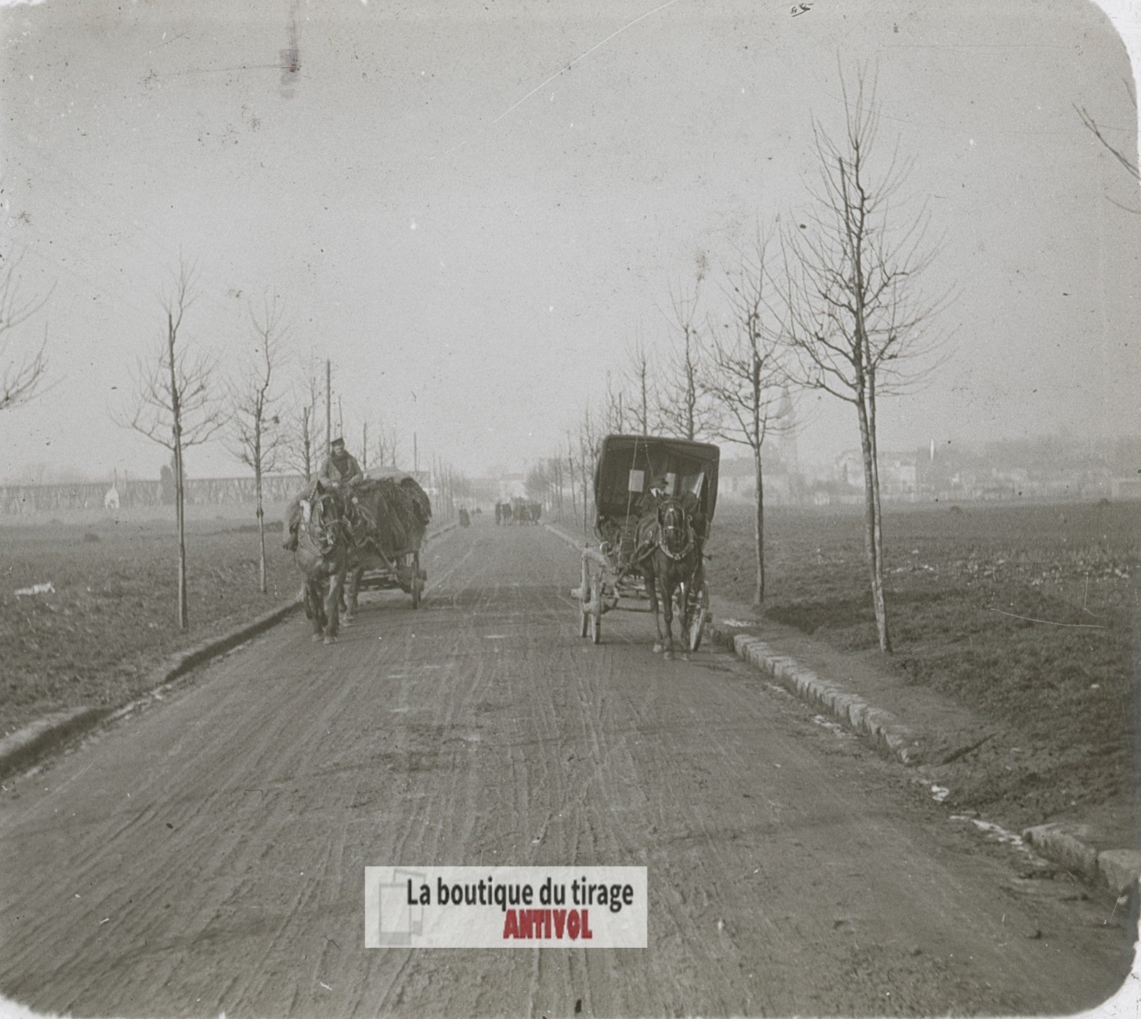 Voitures hippomobiles, chevaux, plaque verre photo ancienne stéréo 6x13 cm