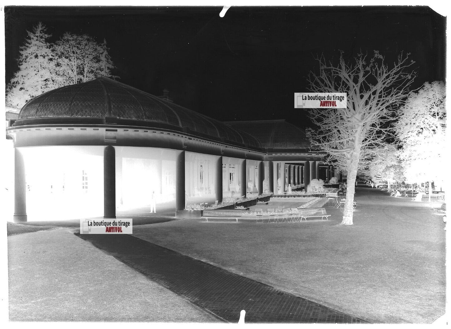 Plaque verre photo ancienne négatif noir et blanc 13x18 cm Vittel galerie therme