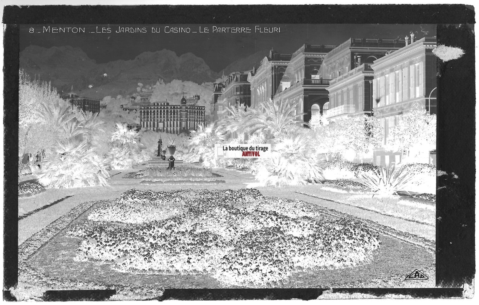 Plaque verre photo, négatif noir & blanc 9x14 cm, Menton, les jardins du Casino
