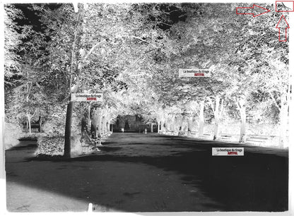 Plaque verre photo ancienne négatif noir et blanc 13x18 cm Colmar parc public