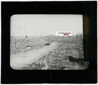 Vers le lac Baïkal, Russie, photo plaque verre, noir & blanc, positif 8,5x10 cm