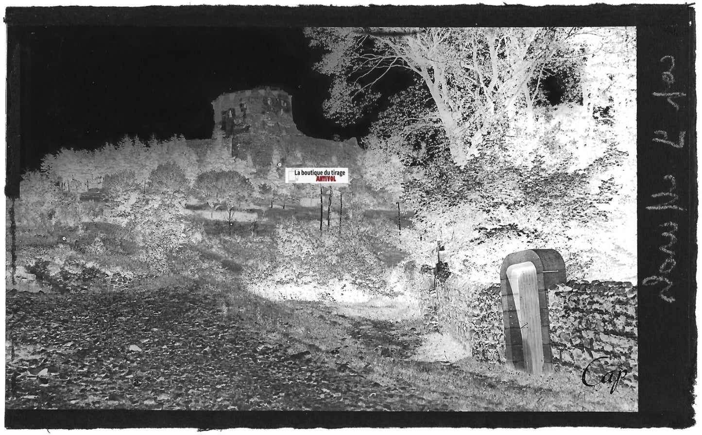 Plaque verre photo ancienne, négatif noir & blanc 9x14 cm, Murol, château ruine