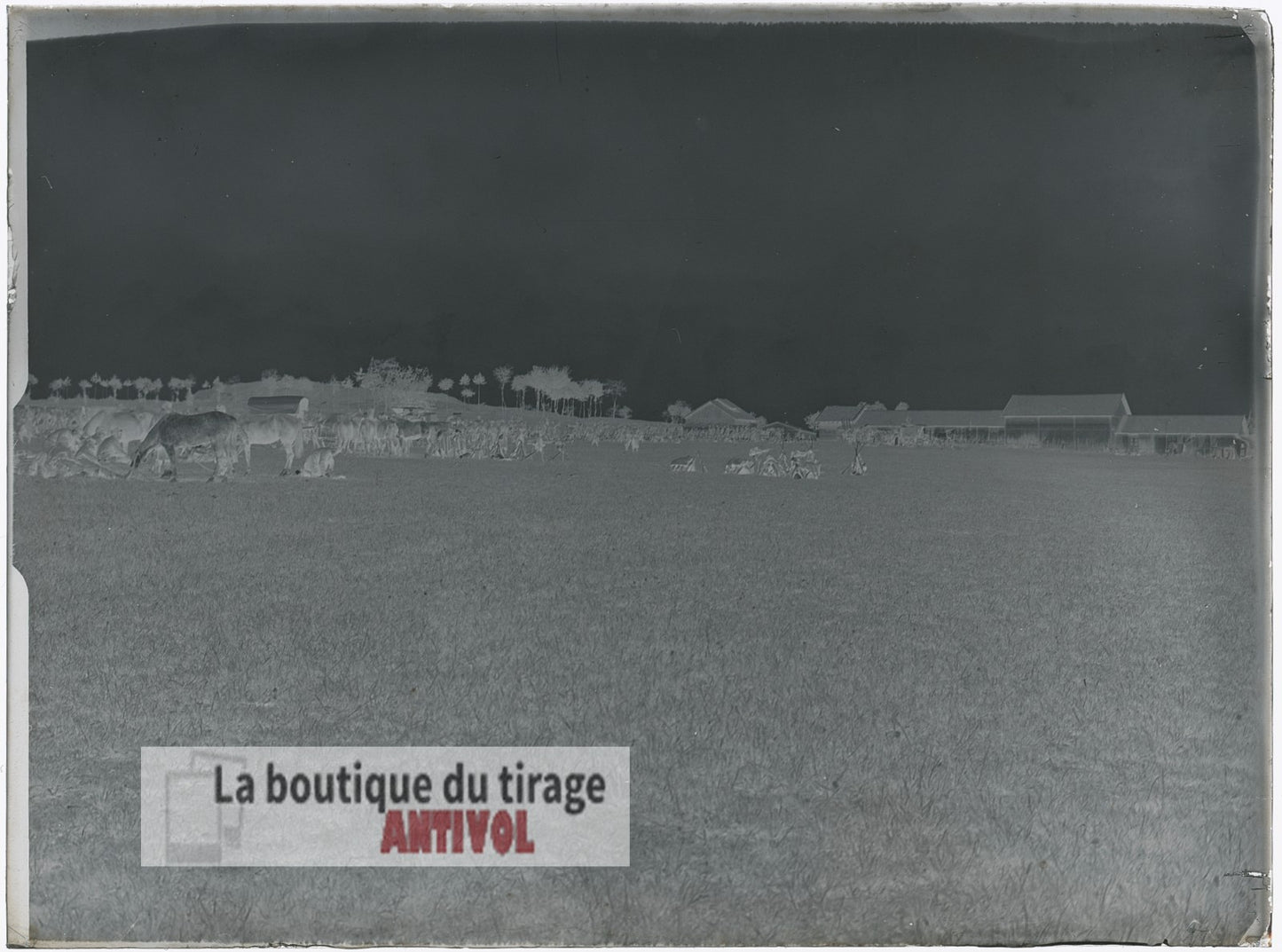 Cavalerie et fantassins, WW1, plaque verre, photo ancienne, négatif 9x12 cm