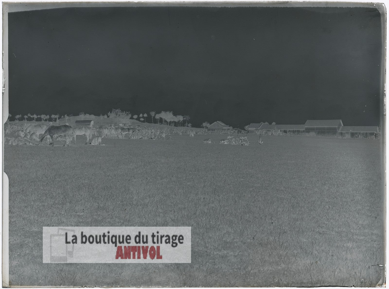 Cavalerie et fantassins, WW1, plaque verre, photo ancienne, négatif 9x12 cm