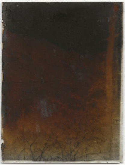 Paysage, route, Plaque verre photo ancienne, négatif noir & blanc 9x12 cm