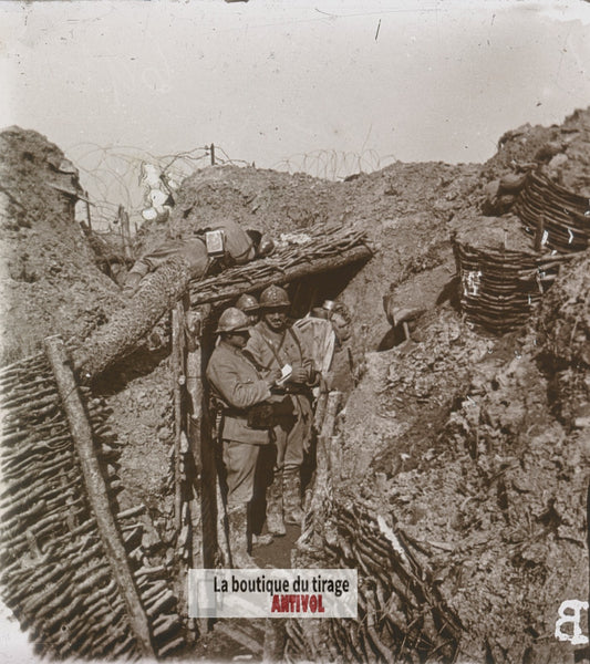 Arbre aux Vaches, tranchée guerre WW1, plaque verre stéréo, photo 4,5x10,7 cm