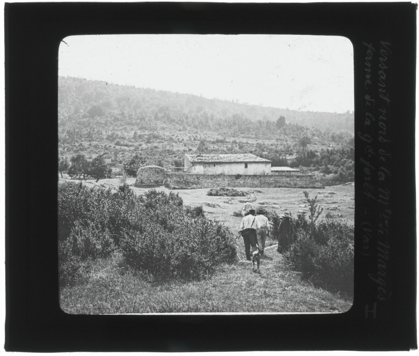 Montagne Grand Margès, Var, photo ancienne plaque de verre, positif 8,5x10 cm