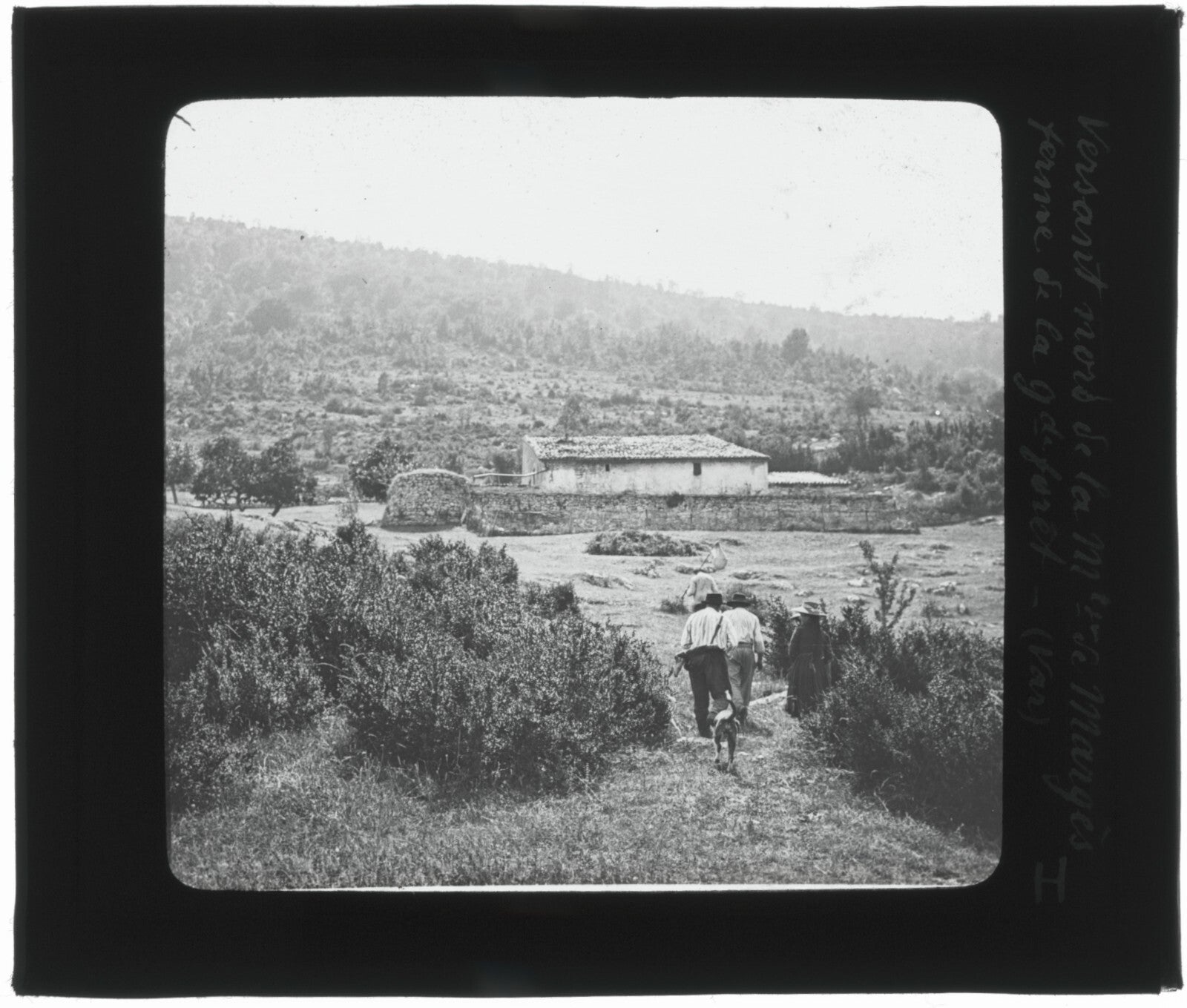 Montagne Grand Margès, Var, photo ancienne plaque de verre, positif 8,5x10 cm