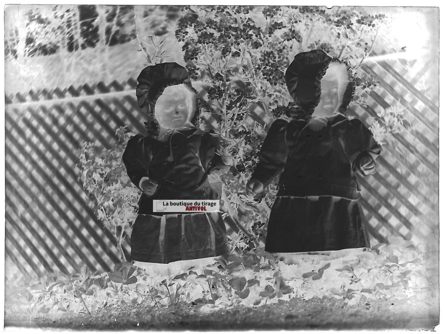 Plaque verre photo ancienne négatif noir et blanc 9x12 cm petites filles jardin