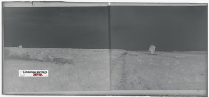 Camp du Ruchard, char, plaque verre, photo ancienne, négatif N&B 6x13 cm