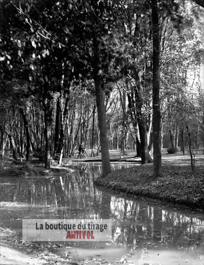 Promenade à bicyclette, sous-bois, plaque verre, photo ancienne, négatif 9x12 cm