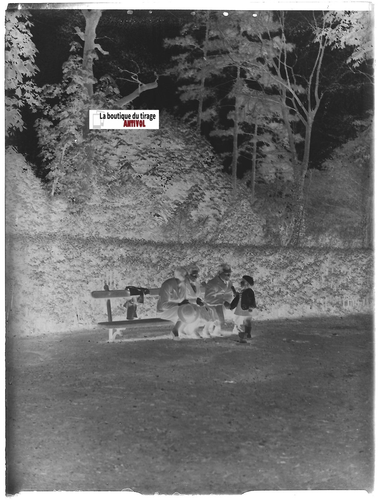 Famille, promenade, plaque verre photo ancienne, négatif noir & blanc 9x12 cm