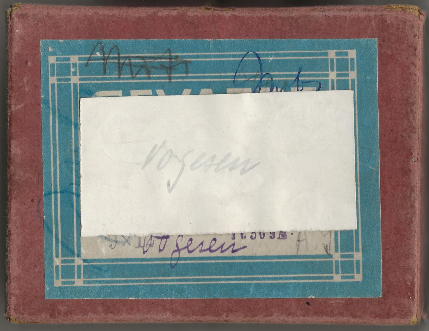 Alsace, Molsheim, Bergheim, photo plaque verre, lot de 12 négatifs 9x12 cm