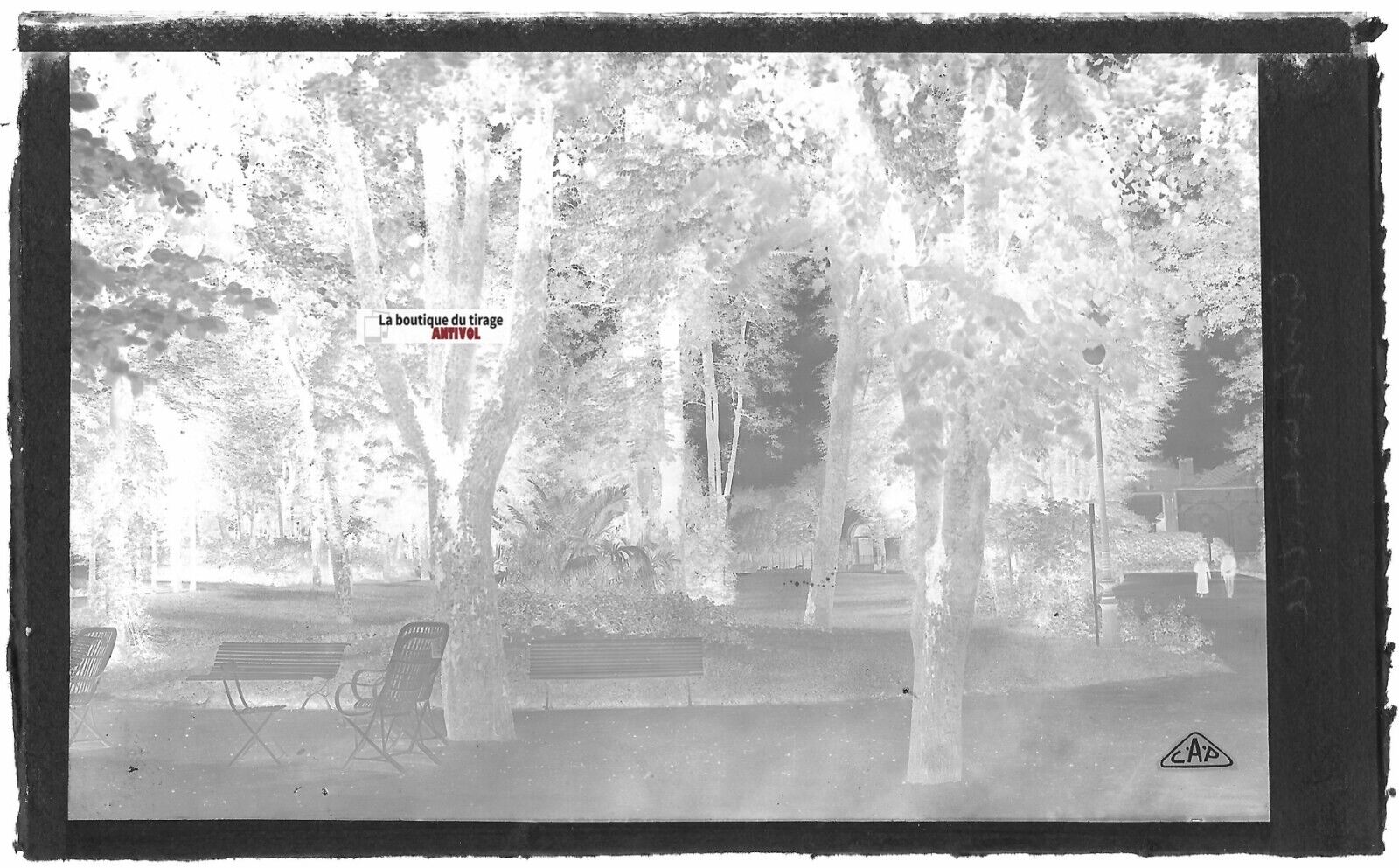 Plaque verre photo ancienne, négatif noir & blanc 9x14 cm, Contrexéville, jardin