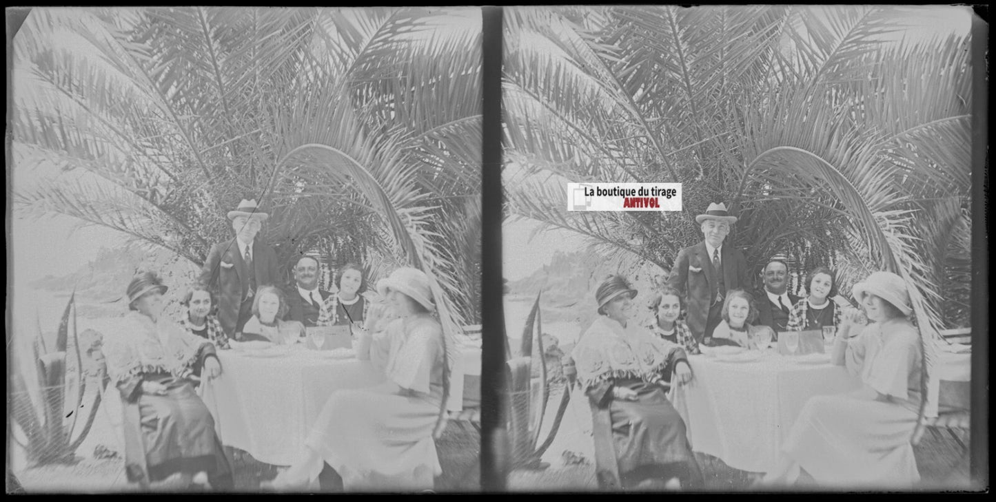 Famille, mer, palmier, stéréoscopie plaque ancienne verre, négatif 9x18 cm