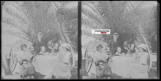 Famille, mer, palmier, stéréoscopie plaque ancienne verre, négatif 9x18 cm