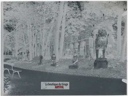 Jardin du Musée de Cluny, Paris, plaque verre, photo ancienne, négatif 9x12 cm