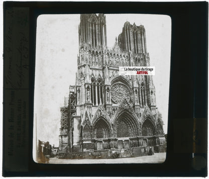 Cathédrale de Reims, photo plaque verre, noir & blanc, positif 8,5x10 cm